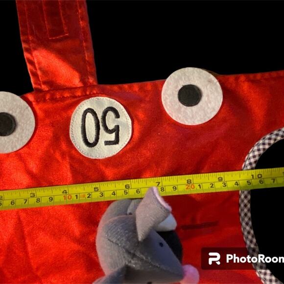 Halloween Pet Costume Fast & Curious - Picture 6 of 6